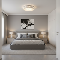 CEILING LIGHT-CF118/24 LED