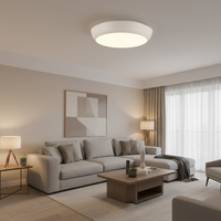 CEILING LIGHT-CF132 EMERGENCY