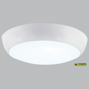CEILING LIGHT-CF132 EMERGENCY