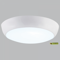 CEILING LIGHT-CF132 EMERGENCY