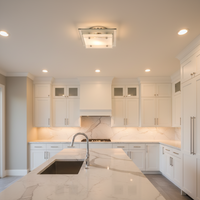 CEILING LIGHT-CF1361 CHROME