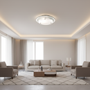 CEILING LIGHT-CF1362 CHROME