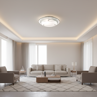CEILING LIGHT-CF1362 CHROME