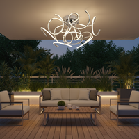 CEILING LIGHT-CF161 LED