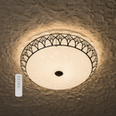 CEILING LIGHT-CF166 RGB