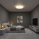 Ceiling light-CF170 White