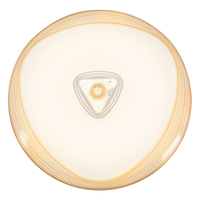 Ceiling light-CF170 White