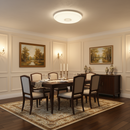 LED Ceiling Light-CF171 White