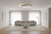 CEILING FITTING-CF274 BK/WH