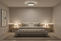 CEILING LIGHT-CF279 BK/WH