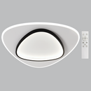 CEILING LIGHT-CF279 BK/WH