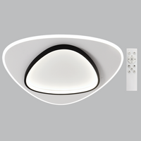 CEILING LIGHT-CF279 BK/WH