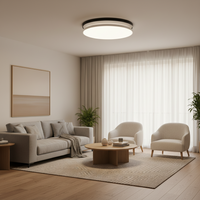 CEILING LIGHT-CF387-32W CCT