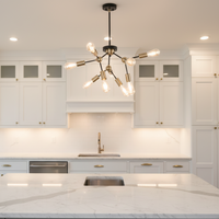 CEILING LIGHT-CF434/9 BRASS