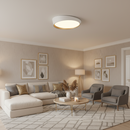 CEILING LIGHT-CF445 WHITE/COPPER