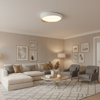 CEILING LIGHT-CF445 WHITE/COPPER