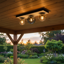 CEILING LIGHT-CF517 BLACK/AMBER
