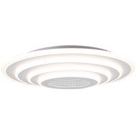 Led Ceiling Light-CF569 White