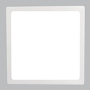 Bright Star CF605 White 24W 3CCT square LED ABS ceiling fitting