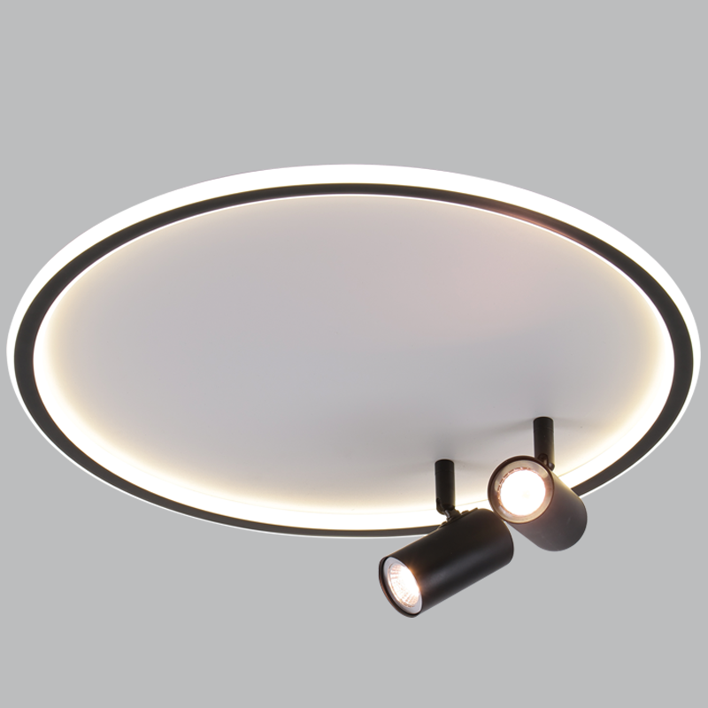 CEILING LIGHT-CF606/2 BLACK