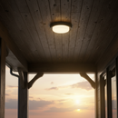 CEILING LIGHT-CF614 BLACK CCT