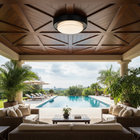 CEILING LIGHT-CF614 BLACK CCT