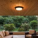 CEILING LIGHT-CF614 BLACK CCT