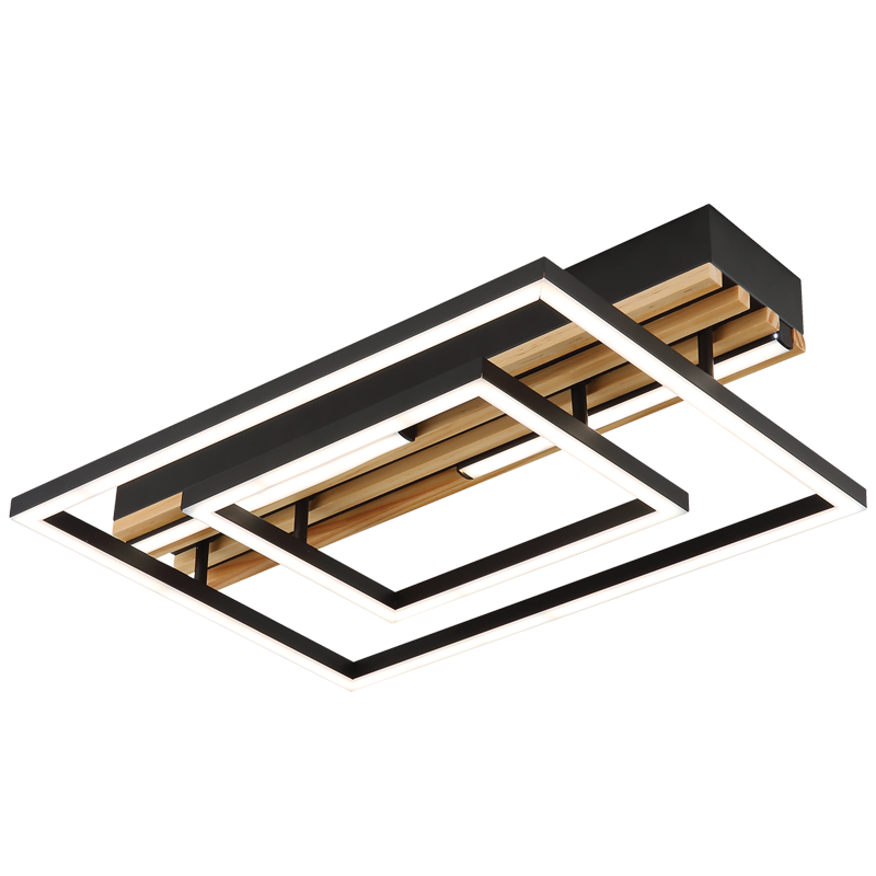 CEILING LIGHT-CF619 BLACK