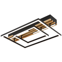 CEILING LIGHT-CF619 BLACK