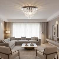 CEILING LIGHT-CF642/3 CHROME