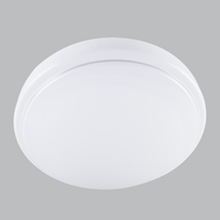 CEILING LIGHT-CH006 WARM WH SMALL