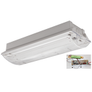 EMERGENCY LIGHT-CF133 EMERGENCY-Mr Smart Lighting Company.