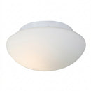 Eurolux Ella Bathroom Ceiling Light –IP20, White-Modern living room-Mr Smart Lighting Company