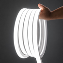 220V Neon Flathead LED Strip Light-Cool White-Mr Smart Lighting Company