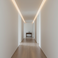 Bright Star 230V 5CM cuttable driverless COB LED strip light - Per meter.