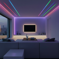 5M IC-RGB NEON ROPE LIGHT-IP20-HVS200-5V-25W.