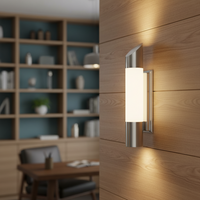 WALL LAMP-L081 STAINLESS