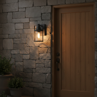 WALL LAMP-L528 BLACK