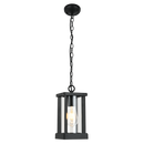 HANGING LAMP-L575 BLACK