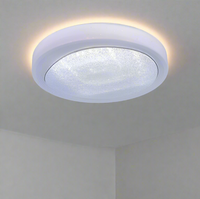 LED ceiling Light- CE024. - Mr.Smart SA's Best Online Shopping Store