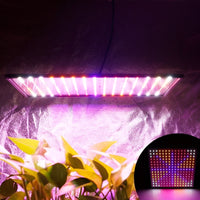 600W Ultra Thin Full Spectrum 4 Color UV LED Plant Growing Light.