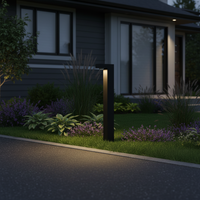 OUTDOOR LIGHT-LFL031 BLACK