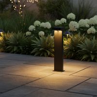OUTDOOR LIGHT-LFL031 BLACK