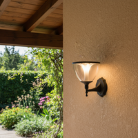 SOLAR LIGHTING-LS030 BLACK
