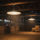 300W LED high bay light - 18 months warranty.