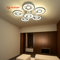 Modern Design Ceiling Light. - Mr.Smart SA's Best Online Shopping Store