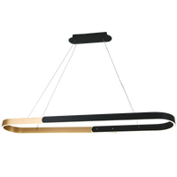 PENDANT LIGHT-PEN253 CCT