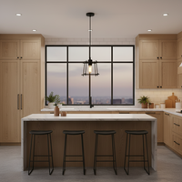 PENDANT LIGHT-PEN306 BLACK