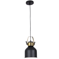 PENDENT LIGHT-PEN590 BLACK