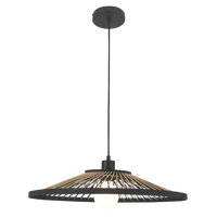 PENDANT LIGHT-PEN835 BLACK